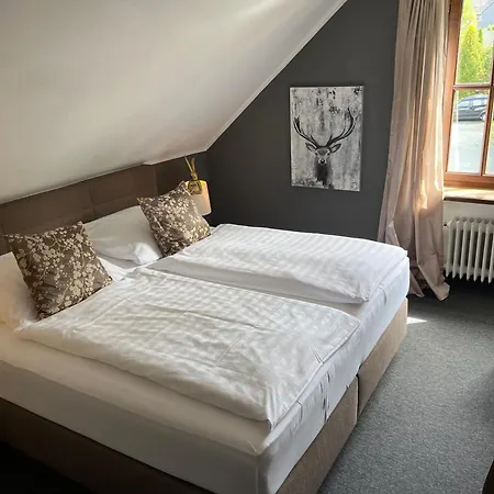 Boutique-hotel Weigels Bergfreiheit מלון ווינטרברג