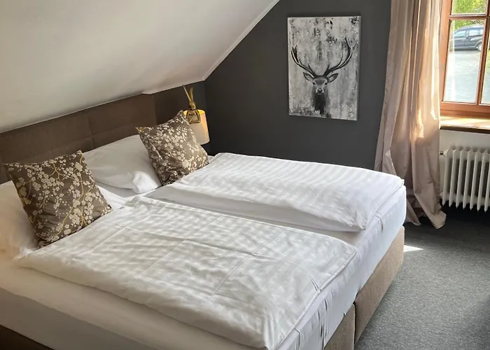 Boutique-hotel Weigels Bergfreiheit فندق وينتربرغ